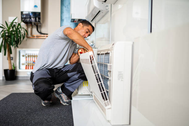 Best Air Duct Sanitizing Services  in West Des Moines, IA